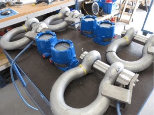 55te ATEX Shackles